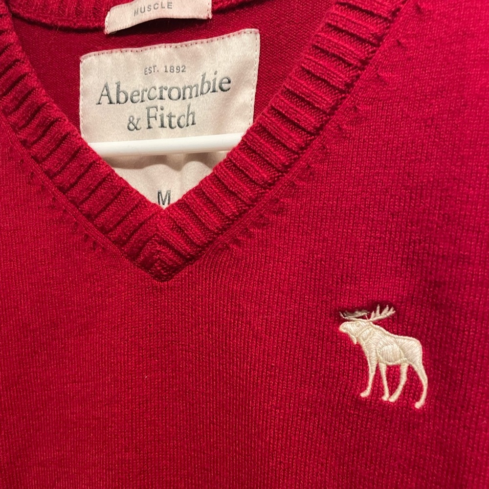 Vintage Abercrombie & Fitch Red Muscle V-neck Sweater